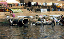 Sick water?: the central role of wastewater management in sustainable development.